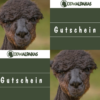 Gutschein für den Einkauf bei den Odenwald Alpakas